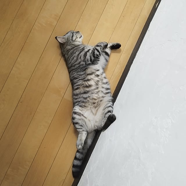 hiro3さんの部屋