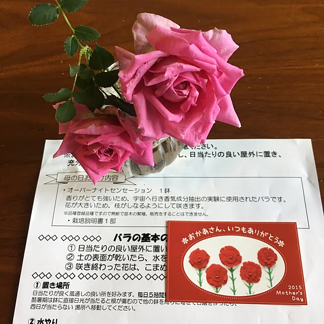 tirolさんの実例写真