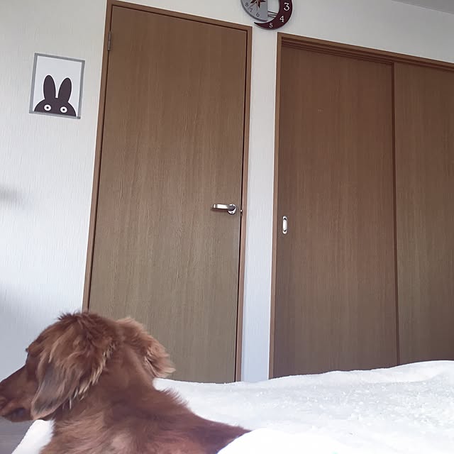 maさんの実例写真