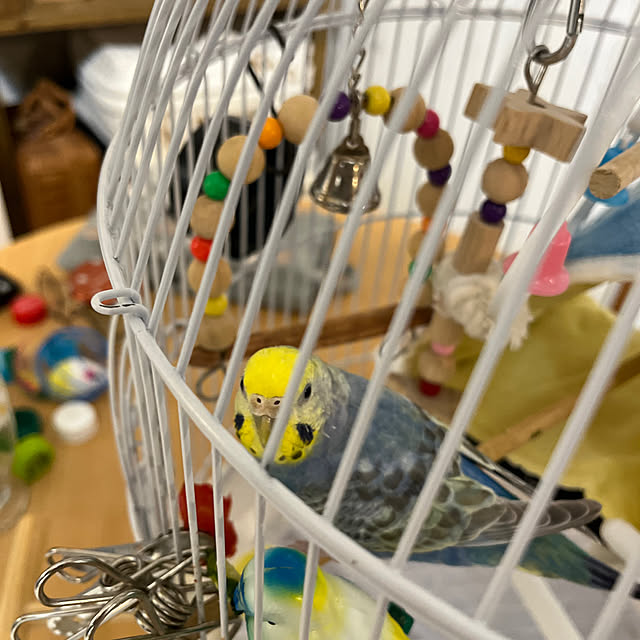 Atsukoさんの部屋