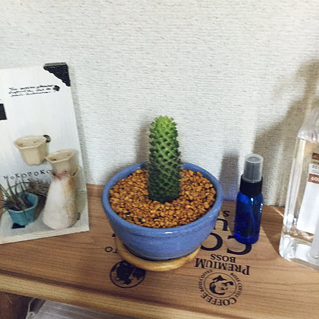 koda1108ahさんの実例写真