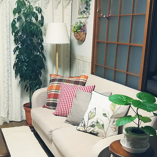 naopyiさんの実例写真
