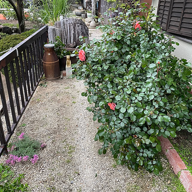 shin0719さんの部屋