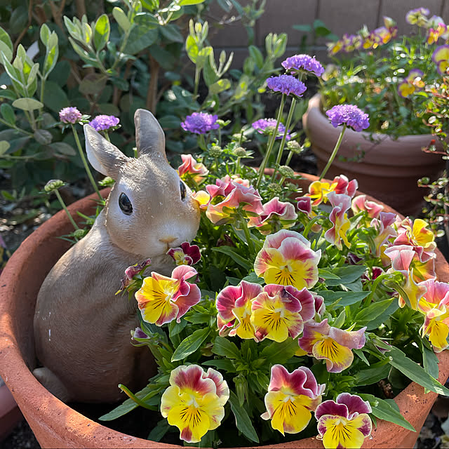 ronronさんの実例写真