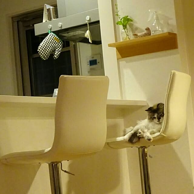 123sgnbさんの実例写真