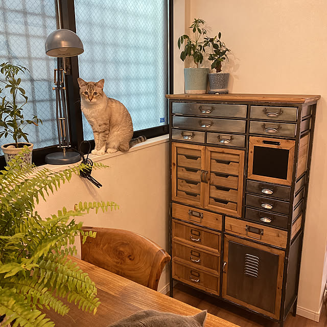 KARE カレのインテリア実例 | RoomClip(ルームクリップ) KARE カレのインテリア実例 | RoomClip(ルームクリップ)