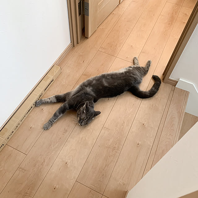yuzukoさんの実例写真