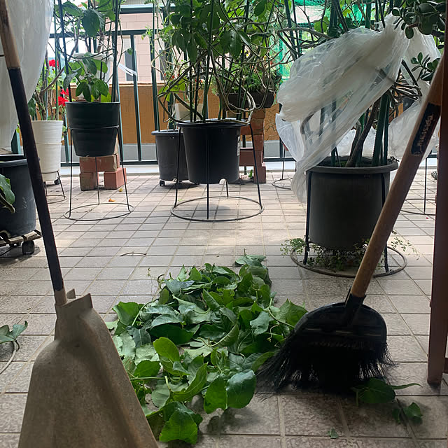 Aqettyさんの部屋