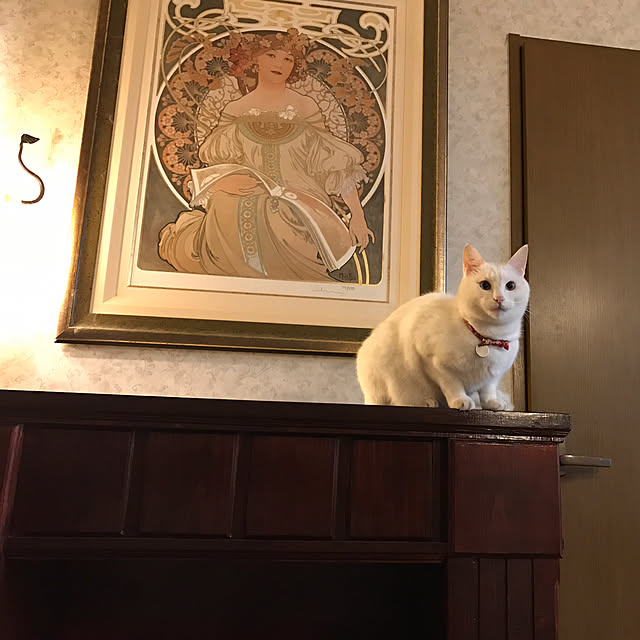 earlgrey.flさんの実例写真