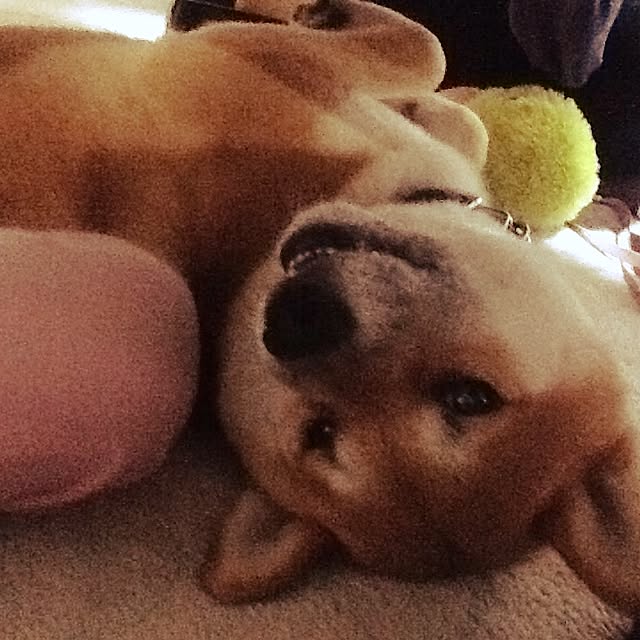 kotaさんの実例写真