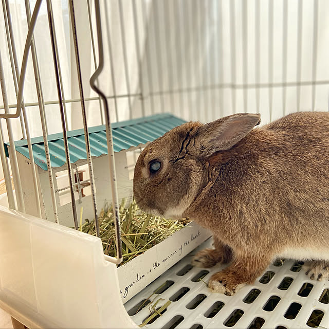 tomoさんの実例写真