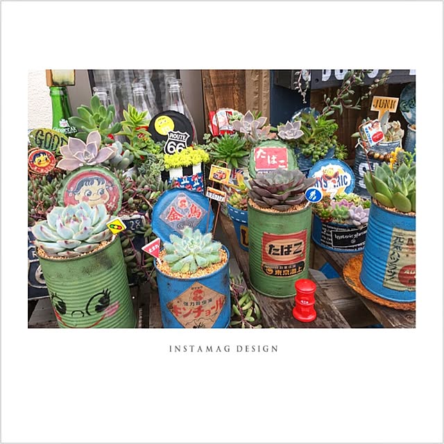 bon-bon-hippieさんの実例写真