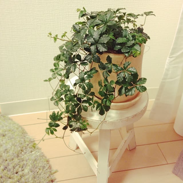 yumaさんの実例写真
