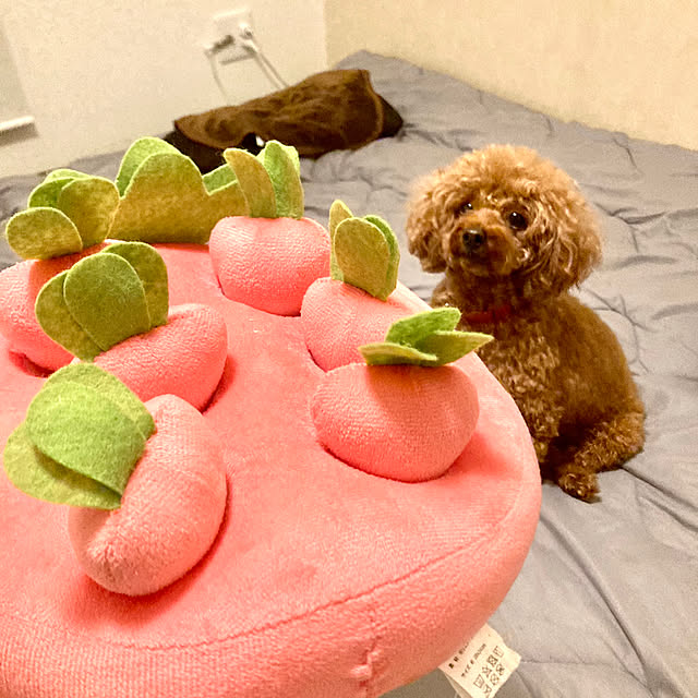 MOMOMAMAさんの実例写真