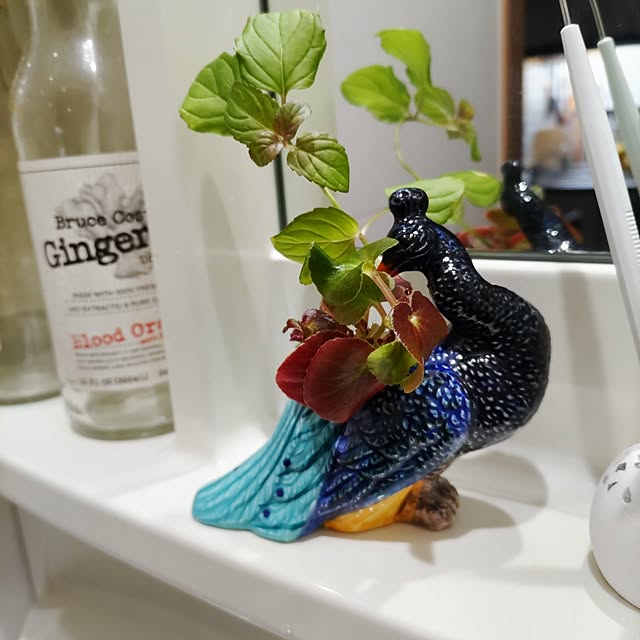 Maroさんの実例写真