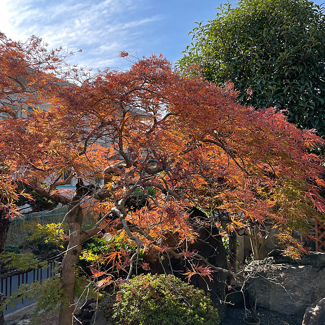 shin0719さんの部屋