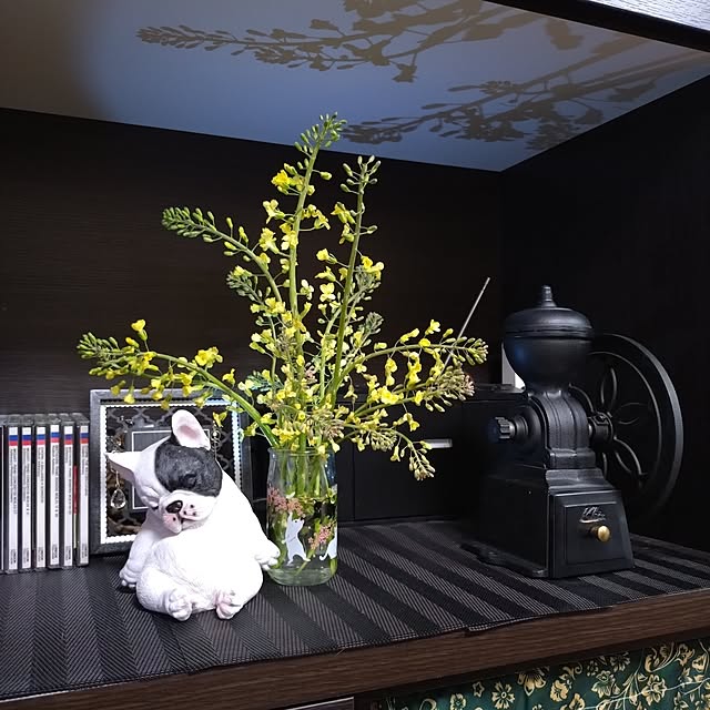 NOAHさんの実例写真