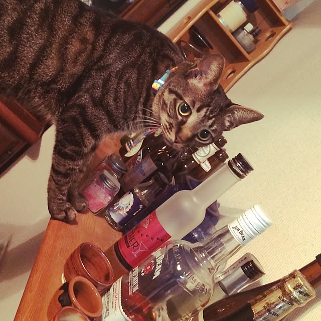 kinakuroさんの実例写真