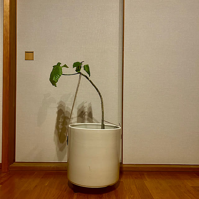 botanさんの部屋