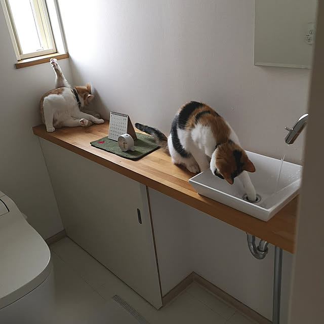 koyurizuさんの実例写真