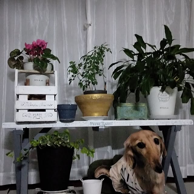 nyさんの実例写真