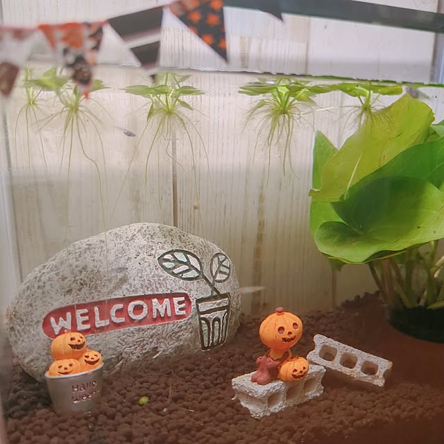 tamiさんの部屋
