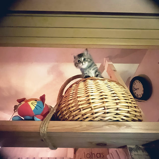 Mさんの部屋