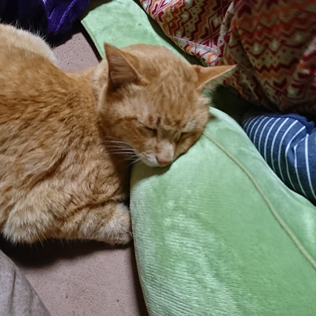 keiさんの実例写真