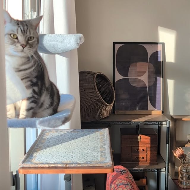 lovepeaceさんの部屋