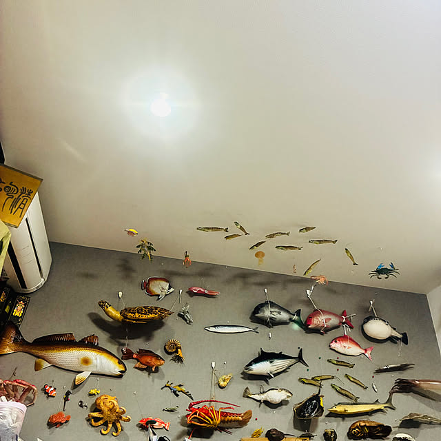 takakuzenさんの実例写真