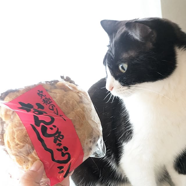 hihaさんの部屋