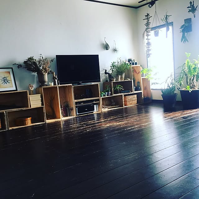 romimushiさんの実例写真