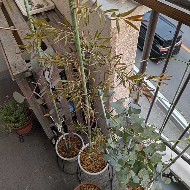 mi-saさんの部屋