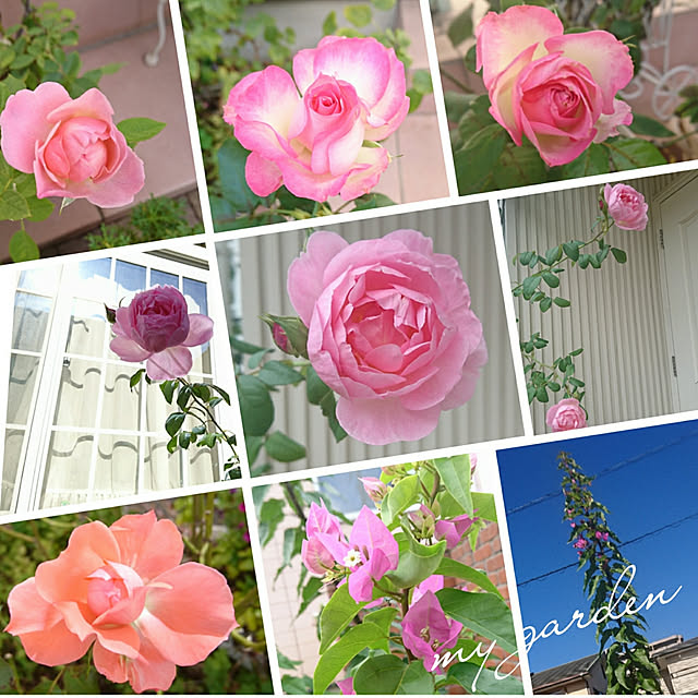 fleur-mamanさんの実例写真