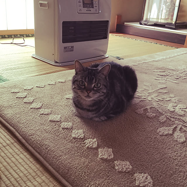 richanさんの実例写真