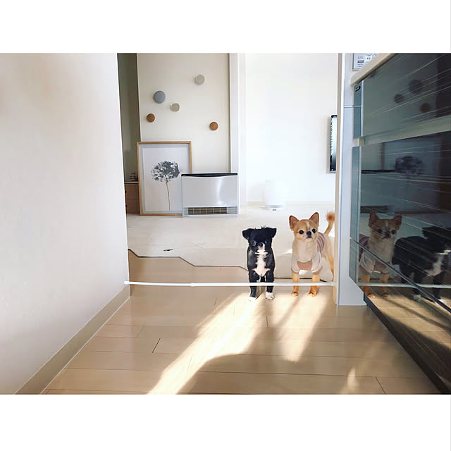 haruhinaさんの実例写真
