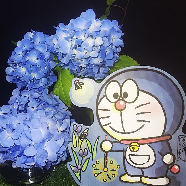 katさんの部屋