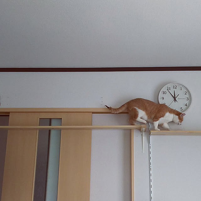 kumaさんの実例写真