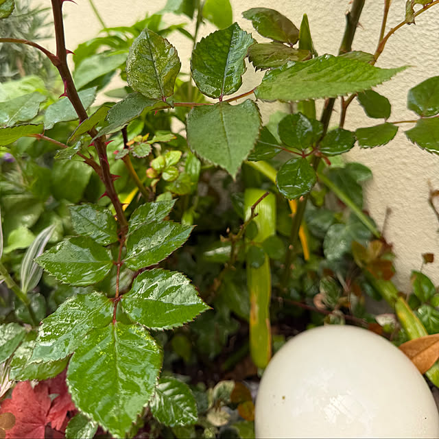 ma...さんの部屋