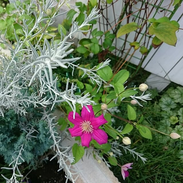 Makikoさんの実例写真