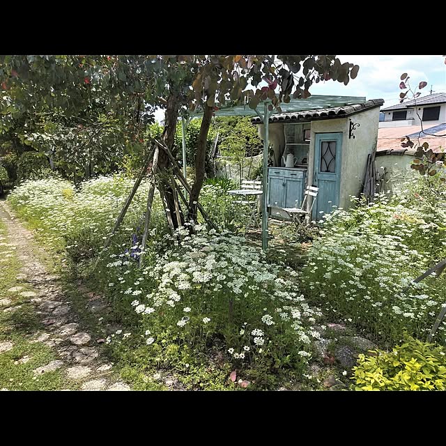 takutoさんの実例写真