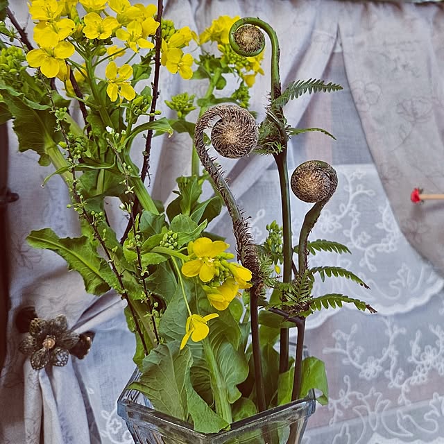 mocomocoさんの部屋