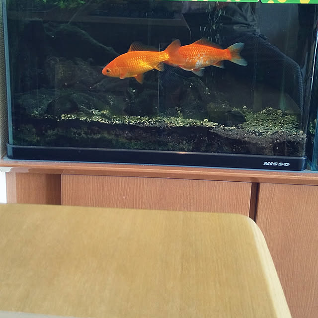 asakenさんの実例写真
