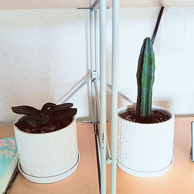 hanachanさんの部屋