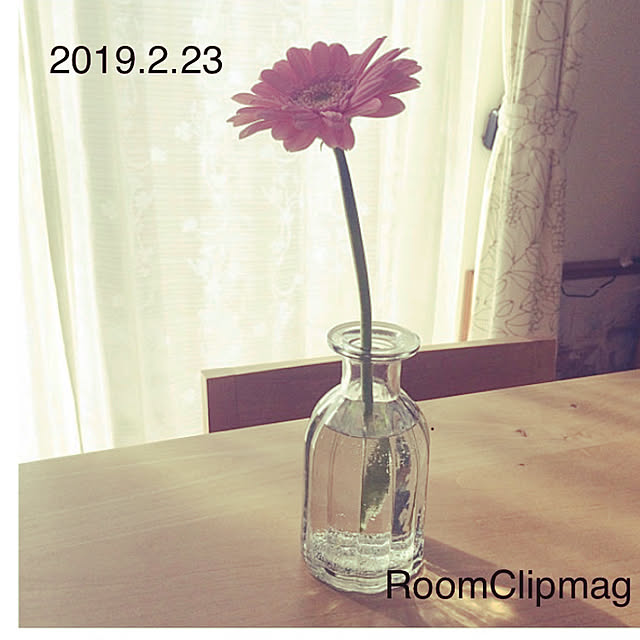 shimoamさんの実例写真