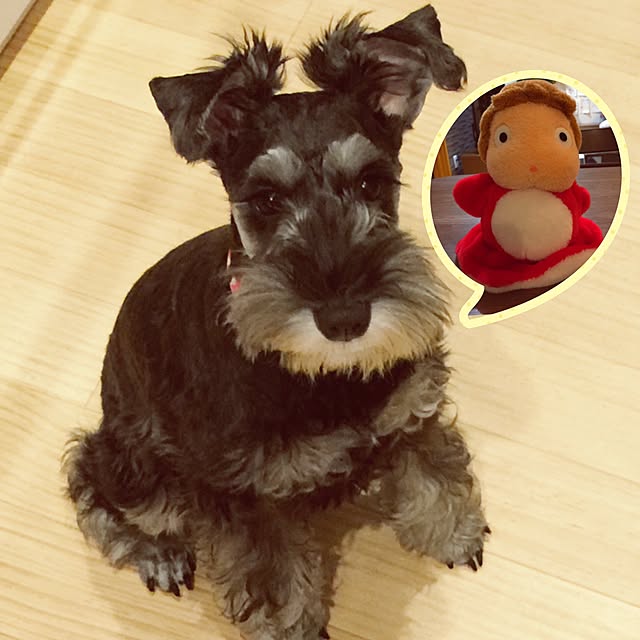 Arutanさんの実例写真