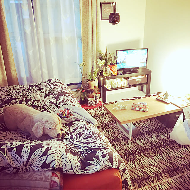 yuhyang.171222さんの実例写真