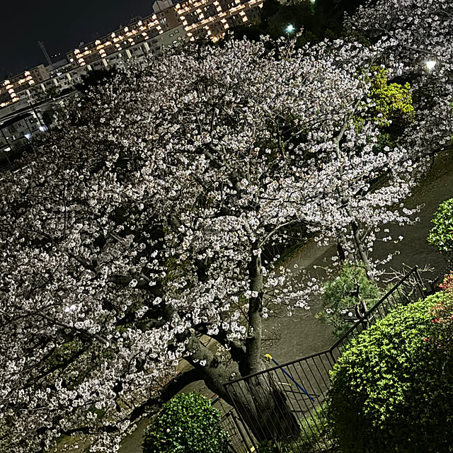 syutmmさんの部屋