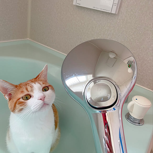 meさんの実例写真