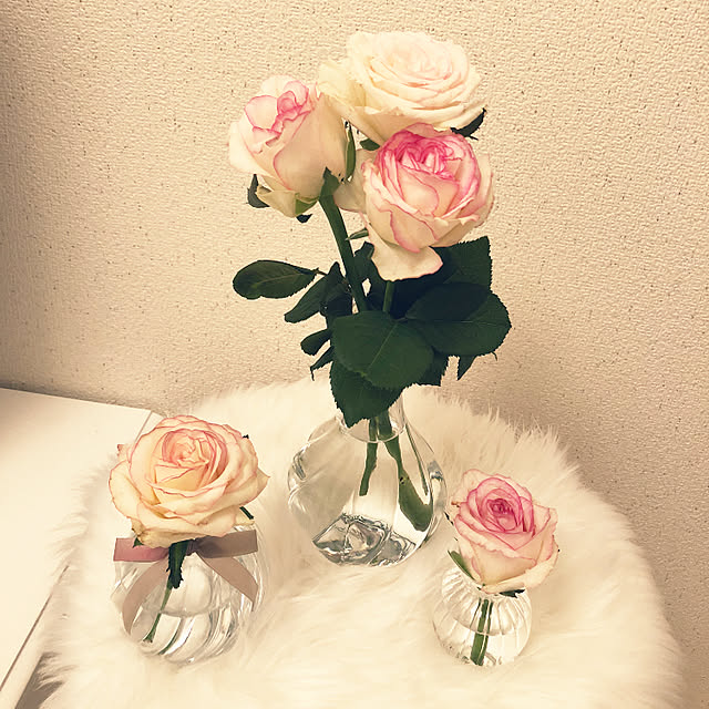 mioさんの実例写真